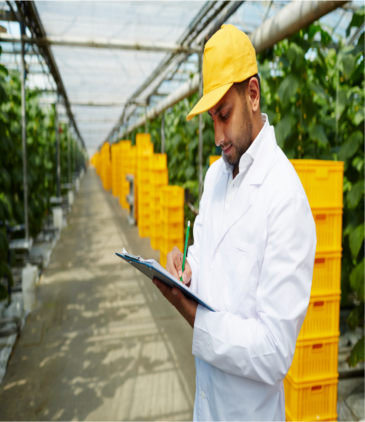 Worker near Plants